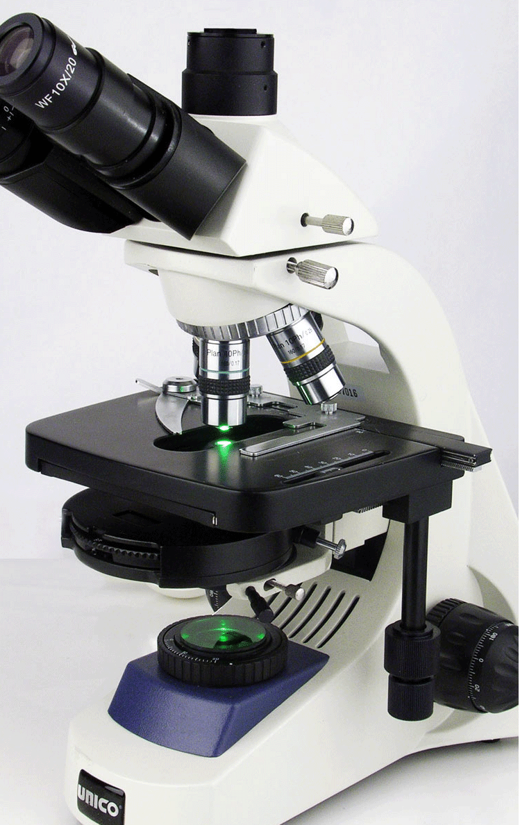 Phase Microscope