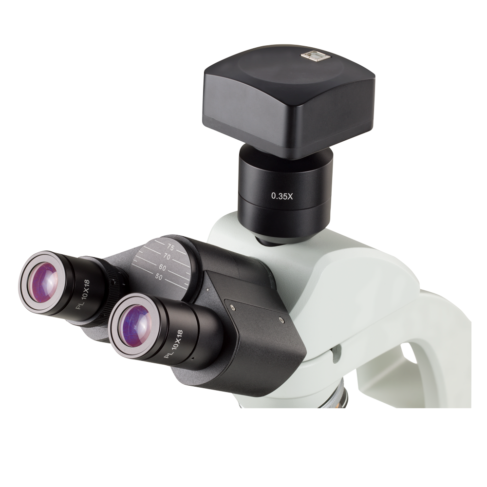 Basic Lab Microscope