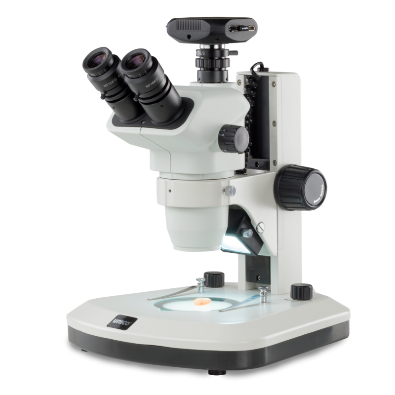 The Unico Microscope: Shedding Light on Rose Resistance to Spider Mites