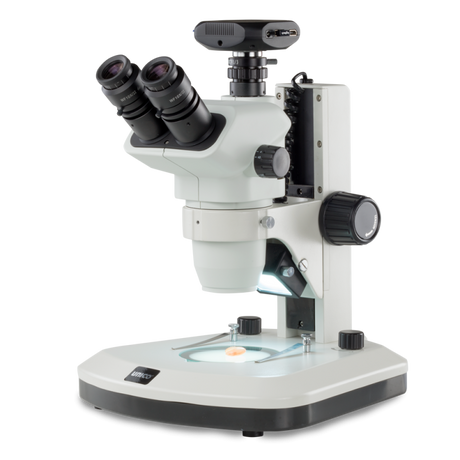 The Unico Microscope: Shedding Light on Rose Resistance to Spider Mites
