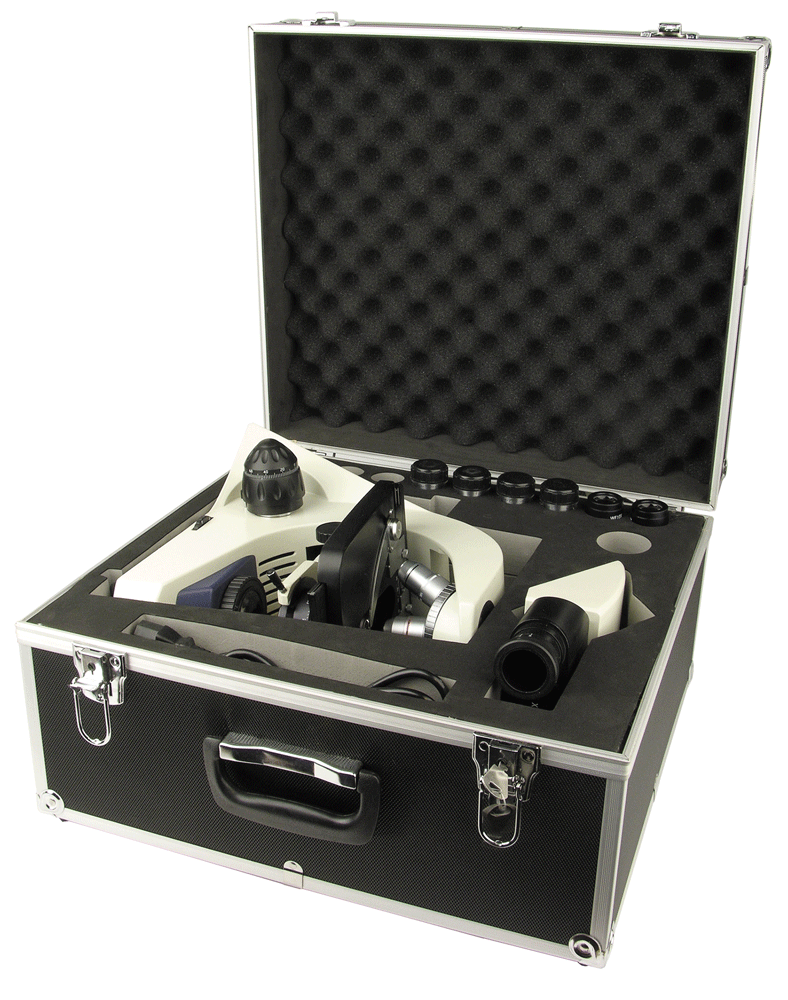 Phase Microscope