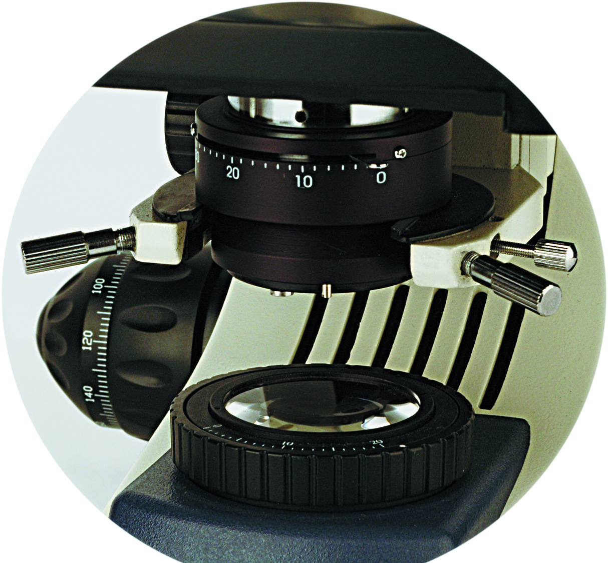 IP730 Binocular Microscope | Achromatic, Halogen, Oil Immersion