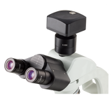 Basic Lab Microscope