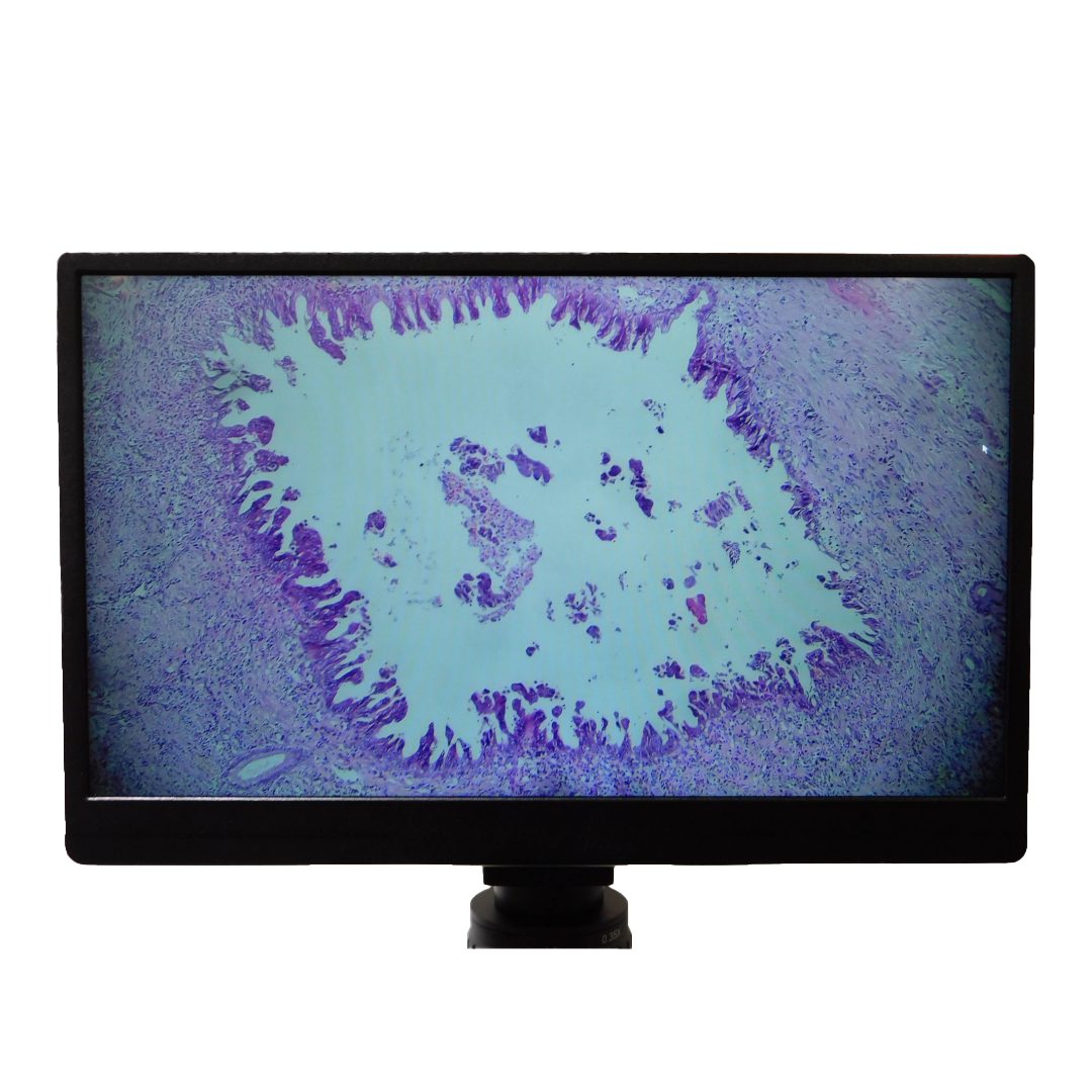 DigiScout Microscope Tablet Camera