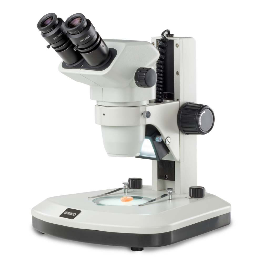 Zoom Stereo Microscope