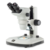 Zoom Stereo Microscope