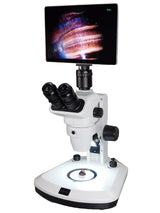 Zoom Stereo Microscope