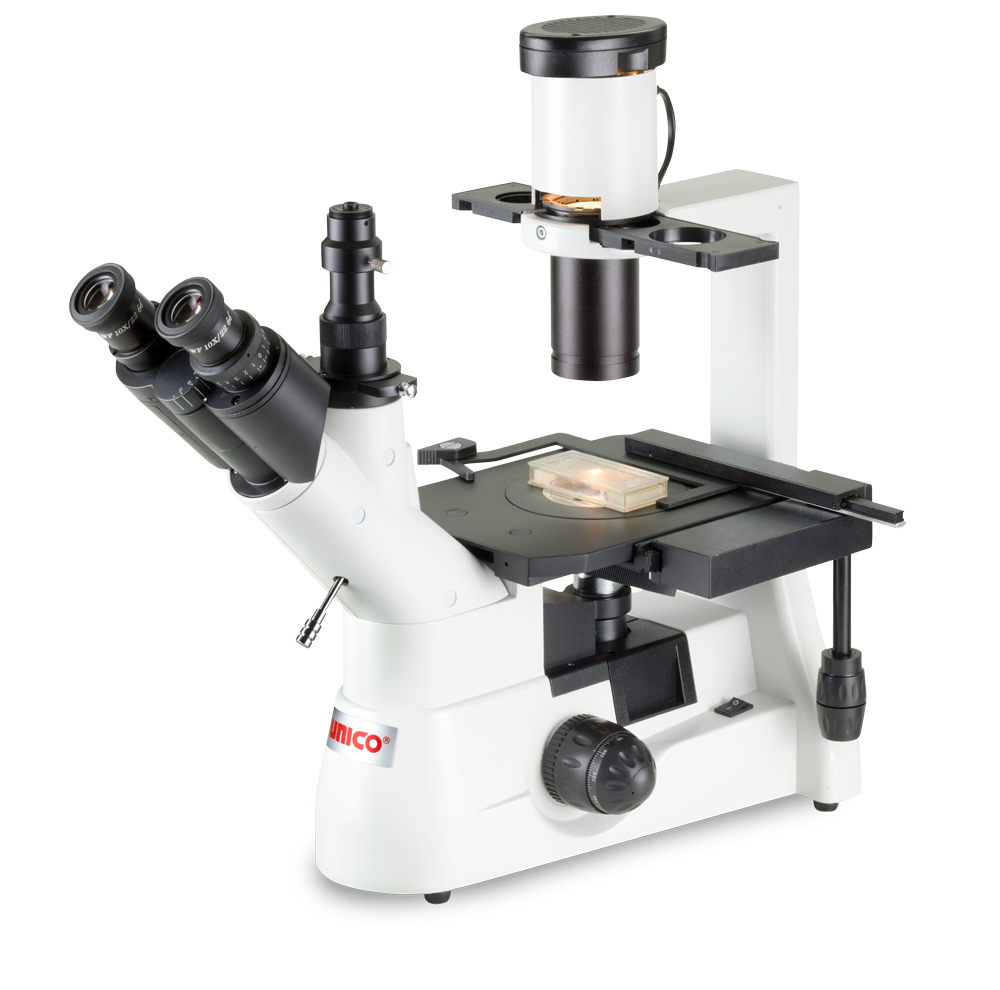 IV900 Trinocular Models - IV900 Series - Inverted Microscopes ...