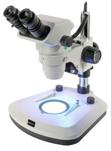 Zoom Stereo Microscope